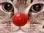 catclownsd catclownsd