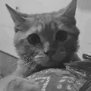 shocked