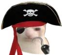 Yarrcat
