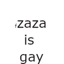 ZAZIEBOI