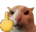 Cat Fu Discord Emoji