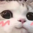 :UwUcat:
