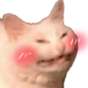 :KittyBlush: