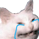 :WhyUCrying: