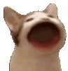 :HyperPopper: