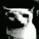 :CatDespair:
