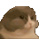 11603278564218839941