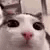 plink