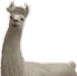 llamaJAM