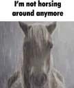 not_horseing