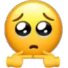 plsface