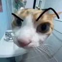 hmm