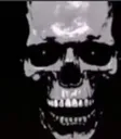 skullstare