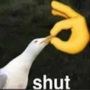 shut