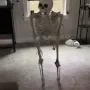 1_dead