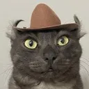CowboyCat