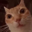 megawat megawat
