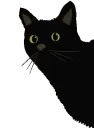 BlackCat1a