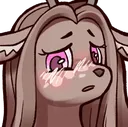 DaisyBlush DaisyBlush