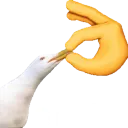 shut