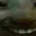 xddO xddO