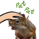squirrelpat squirrelpat