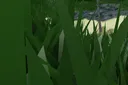 islegrass islegrass