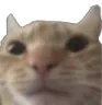 nini