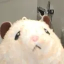 hamstare