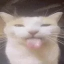 thesillies