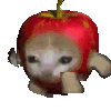 applerun