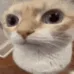 uuh
