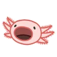 axolotlAnimPop