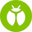 bug