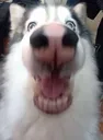 grr