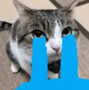 finocry finocry