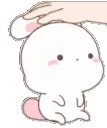 bunnypat bunnypat