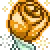 orangerose