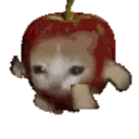 catapplerunning