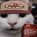 dpnny