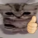 yes