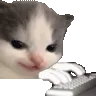 heheChatting