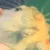 ratrave ratrave