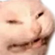CatLOL