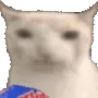 VeryPog