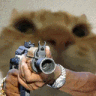 cat_gun