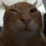 buh