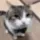 hellomister