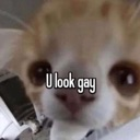 ulookgay