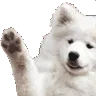 CGfloofwave